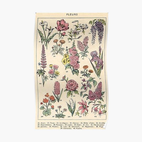 Discover Vintage Aesthetic Cottage Core Premium Matte Vertical Poster