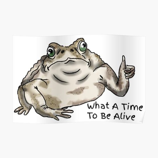 Discover Toadally Rad Premium Matte Vertical Poster