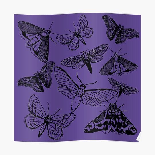 Discover Attracted to Light 6 Premium Matte Vertical Poster