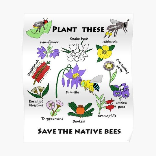 Discover Plant these, save the native bees Premium Matte Vertical Poster