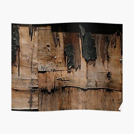 Discover warmth.. Premium Matte Vertical Poster