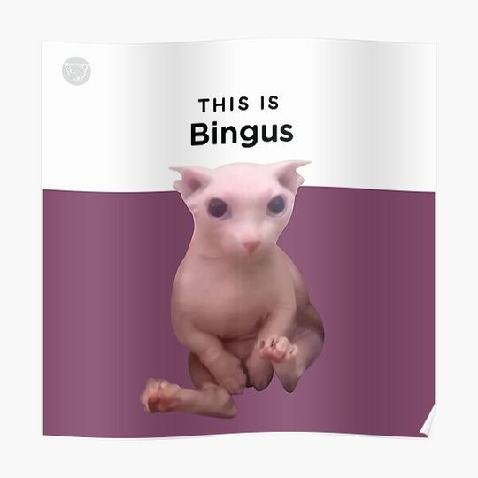 Discover This is Bingus HD Premium Matte Vertical Poster