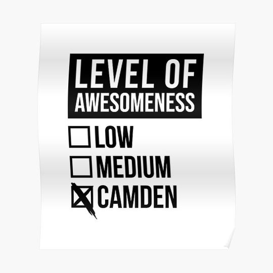 Discover Level Of Camden Premium Matte Vertical Poster