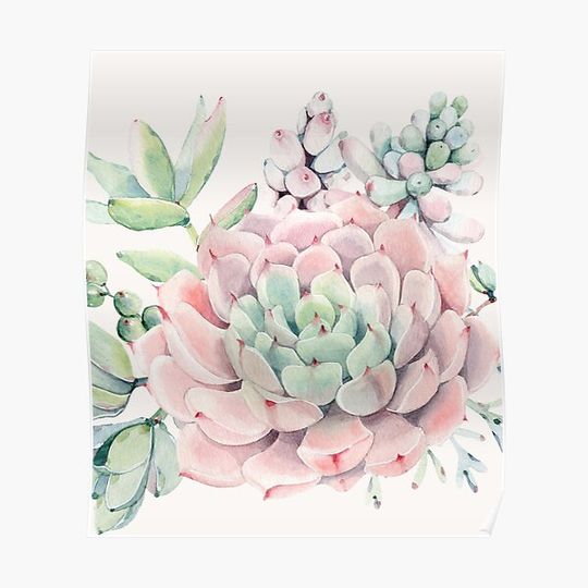 Discover Pretty Succulents Pink and Green Desert Succulent Illustration Premium Matte Vertical Poster