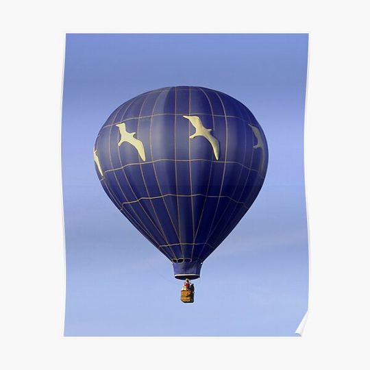 Discover Jonathan Livingston Balloon Premium Matte Vertical Poster