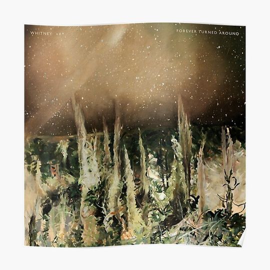 Discover Whitney Premium Matte Vertical Poster