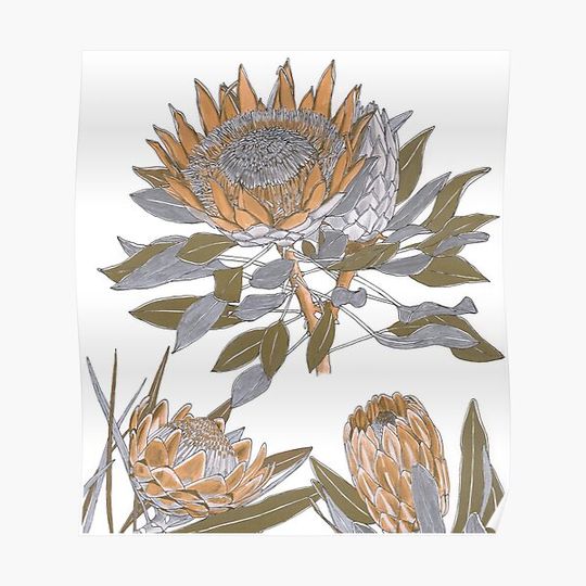 Discover Protea flowers gold silver Premium Matte Vertical Poster