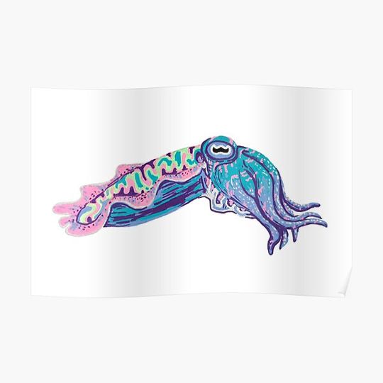 Discover Cuttlefish Premium Matte Vertical Poster