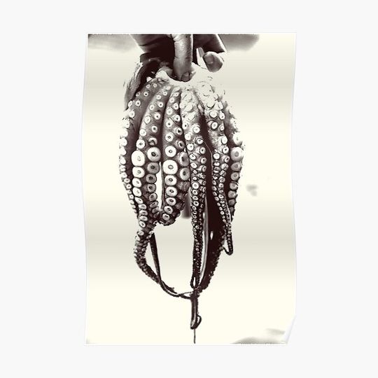 Discover Holding Food Squids Premium Matte Vertical Poster