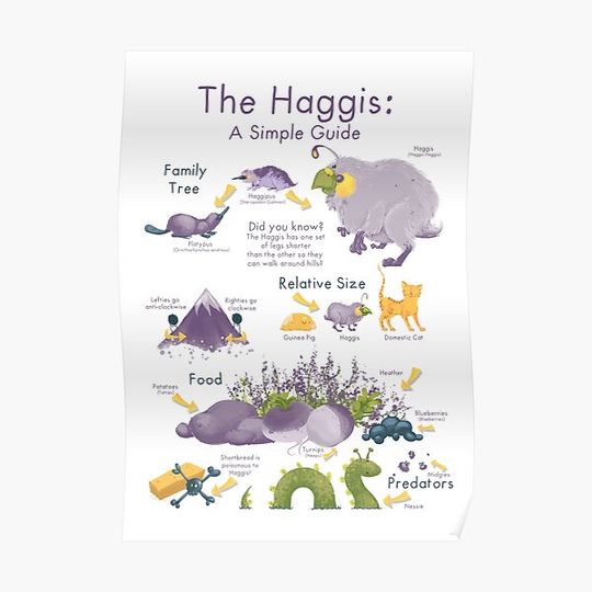 Discover The Haggis: A Simple Guide Premium Matte Vertical Poster