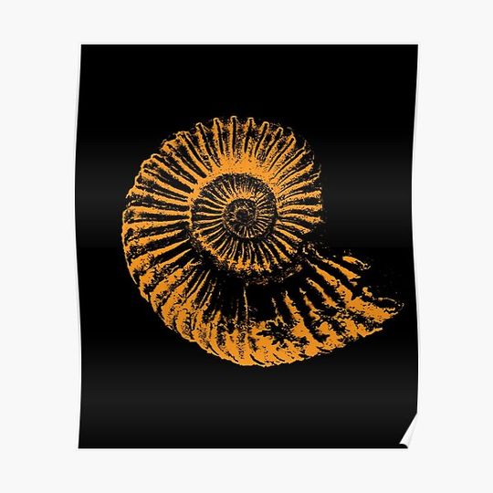 Discover Paleontologists gift idea - Ammonite fossil Premium Matte Vertical Poster