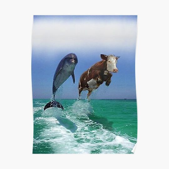 Discover Dolphin and cow Premium Matte Vertical Poster