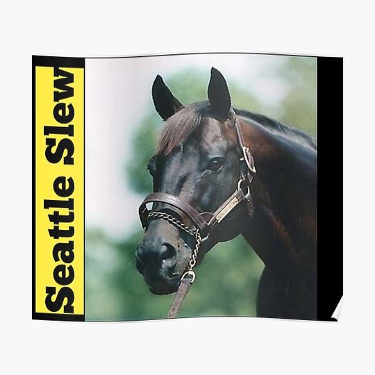 Discover Seattle Slew - Triple Crown Winner Premium Matte Vertical Poster