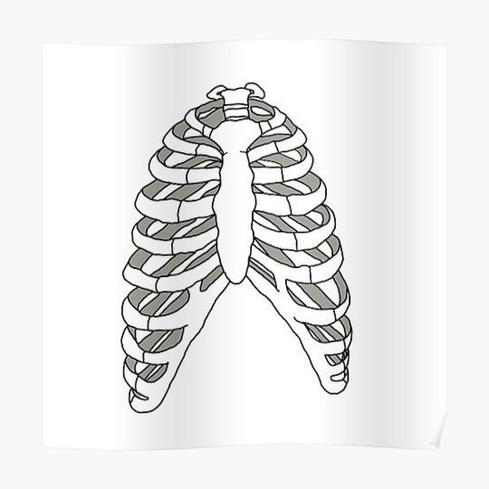 Discover Ribcage Premium Matte Vertical Poster