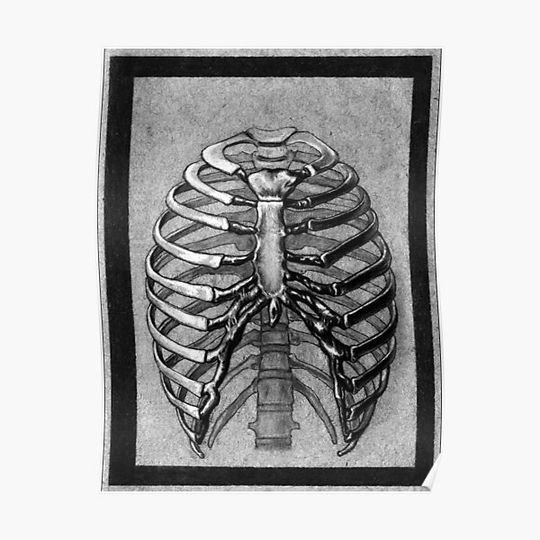 Discover ribcage Premium Matte Vertical Poster