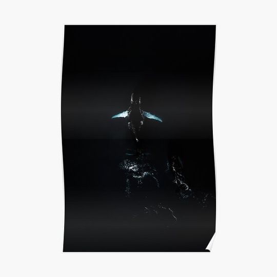 Discover Minimalistic Black Humpback Whales - Animal Aerial Premium Matte Vertical Poster