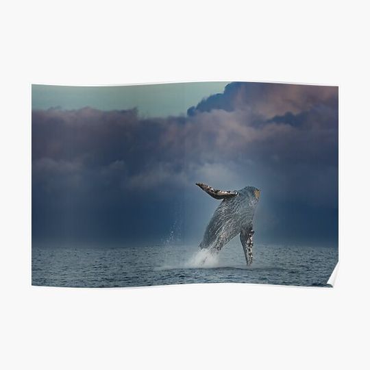 Discover Breaching Humpback Whale Premium Matte Vertical Poster