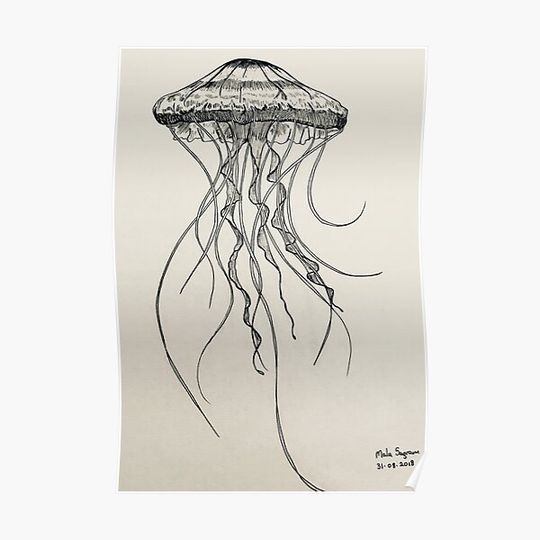 Discover Jellyfish Pen and Ink Premium Matte Vertical Poster