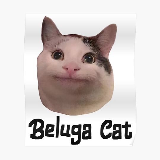 Discover beluga cat discord pfp Premium Matte Vertical Poster
