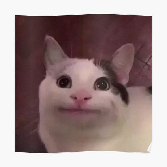 Discover Beluga cat meme shitpost Premium Matte Vertical Poster