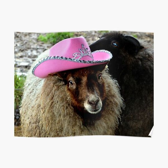 Discover Rhinestone Cowboy Premium Matte Vertical Poster