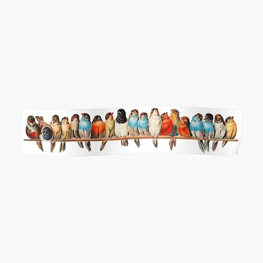 Discover Birds on a Wire Premium Matte Vertical Poster