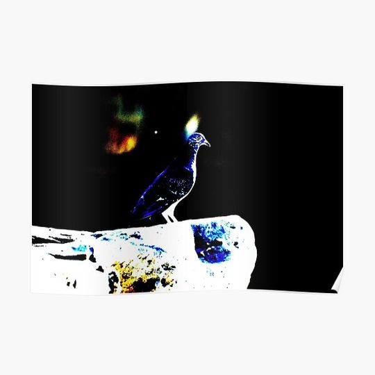 Discover Pigeons Rock Premium Matte Vertical Poster