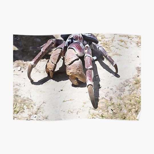 Discover Abstract Coconut Crab Premium Matte Vertical Poster