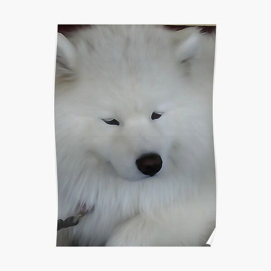 Discover Fluffy Puppy Premium Matte Vertical Poster
