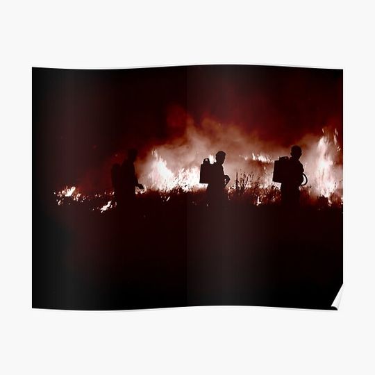 Discover My favorite collection 4 Premium Matte Vertical Poster