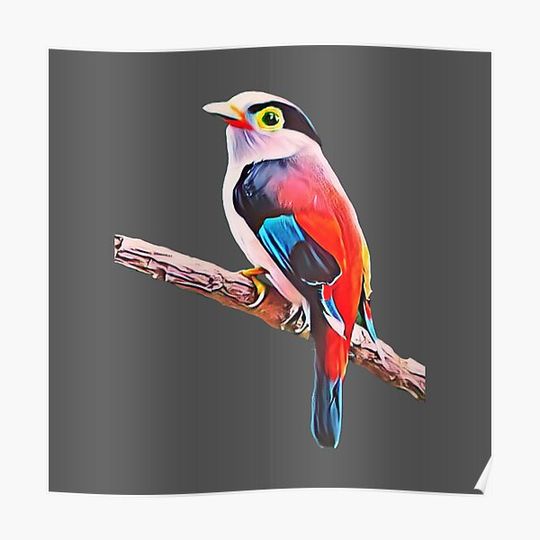 Discover Colourful Bird Premium Matte Vertical Poster