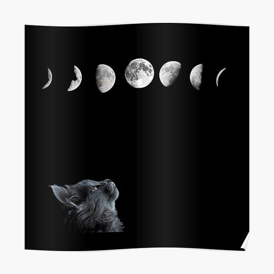Discover Cat Looking At The Moon Phases Premium Matte Vertical Poster