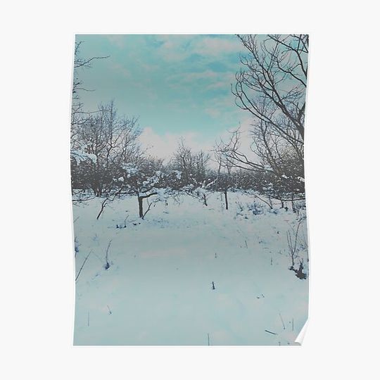 Discover Snowfall Premium Matte Vertical Poster