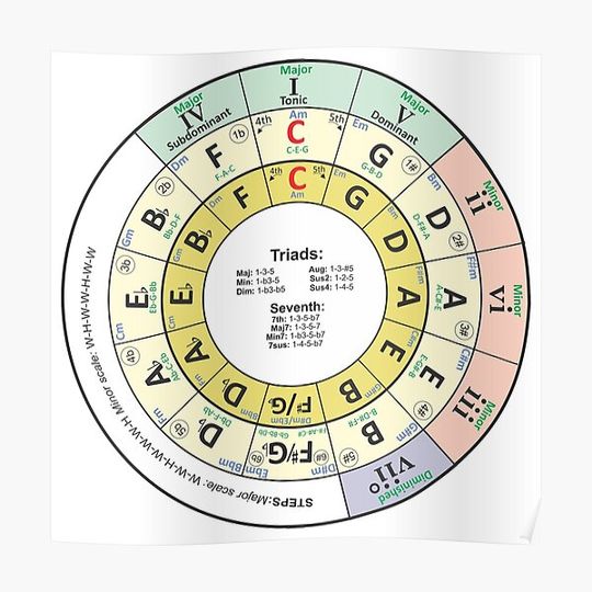 Discover Circle Of Fifths Premium Matte Vertical Poster