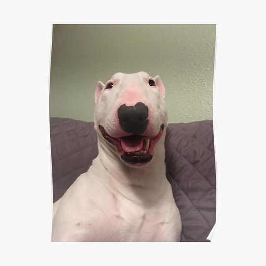 Discover @PupperNelson: Happy Nelson! Premium Matte Vertical Poster
