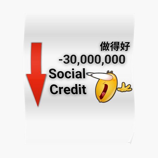 Discover Chinese Social Credit Meme -30,000,000 Social Credit Points China Social Credit Scores System Premium Matte Vertical Poster