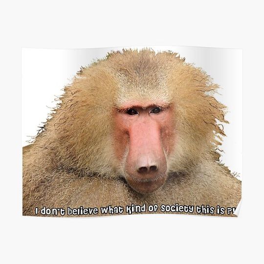 Discover Disappointed Baboon Premium Matte Vertical Poster