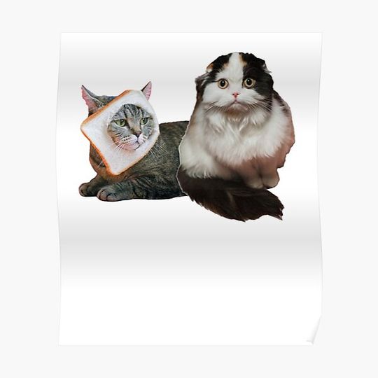 Discover Cat Meme, funny bread cats couple memes Premium Matte Vertical Poster