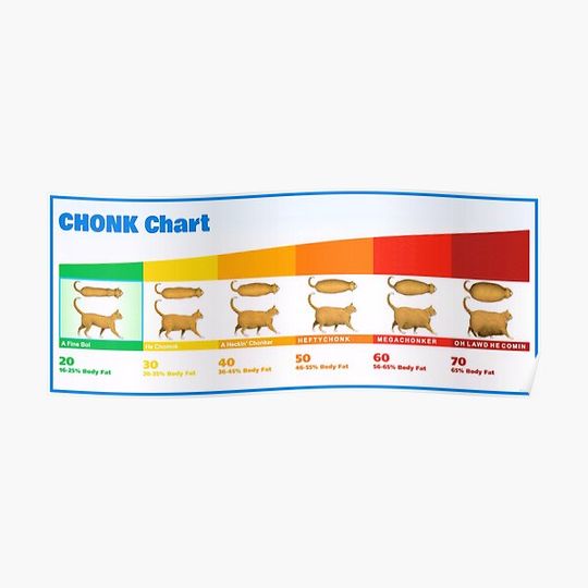 Discover Chonky Cat Chart Funny Chonk Meme (Oh Lawd He Comin) Premium Matte Vertical Poster