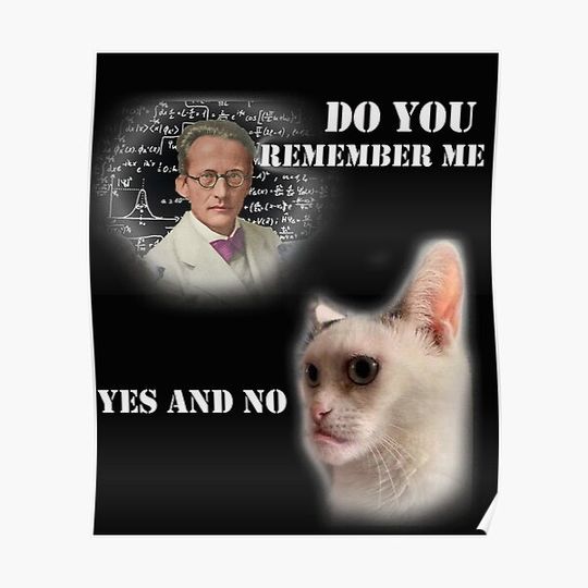 Discover Schrodinger Cat shirt, Schrodinger Equation, Quantum Overlay, Erwin Schrödinger, science shirt Premium Matte Vertical Poster