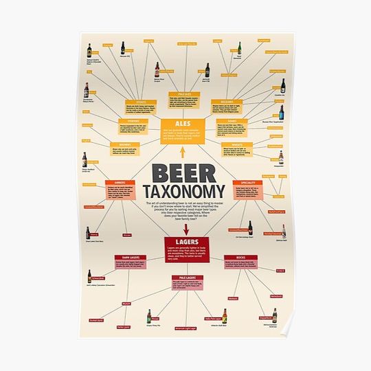 Discover Pop Chart Beer Taxonomy Premium Matte Vertical Poster