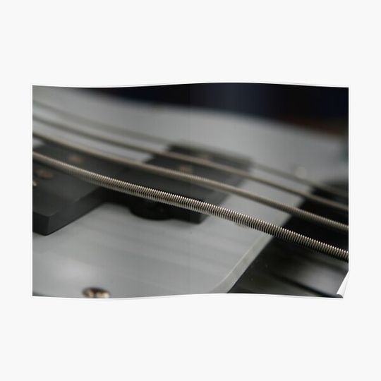 Discover Bass Close Up Premium Matte Vertical Poster