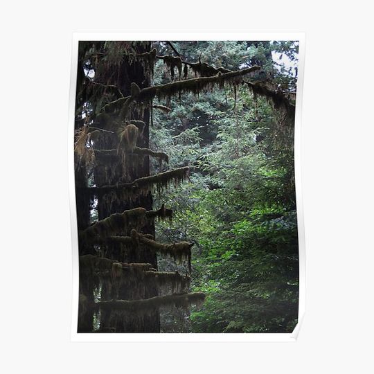 Discover Forest Primeval Premium Matte Vertical Poster