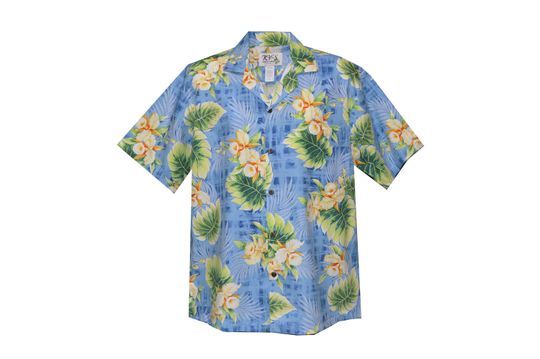 Discover Aloha Shirt from Hawaii.
