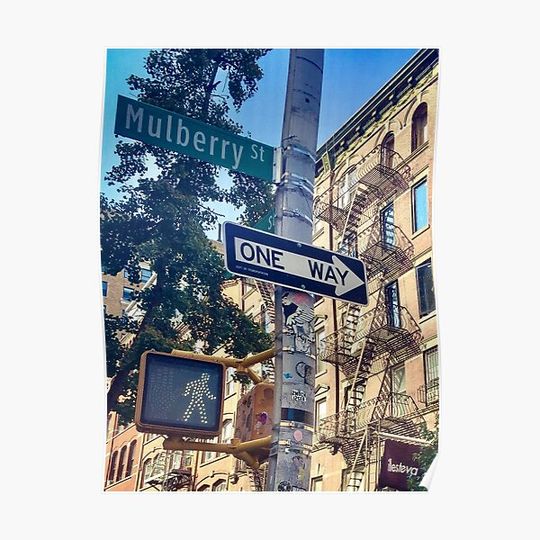 Discover Street Sign One Way Traffic Light Mulberry St Manhattan NYC Premium Matte Vertical Poster