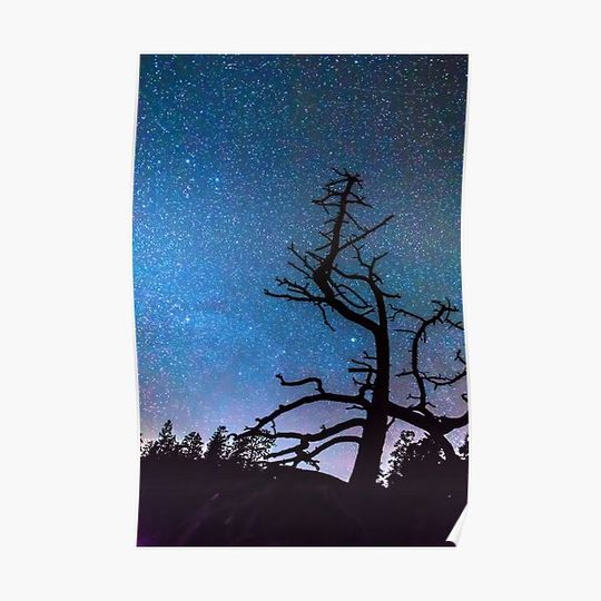 Discover Astrophotography Night Premium Matte Vertical Poster