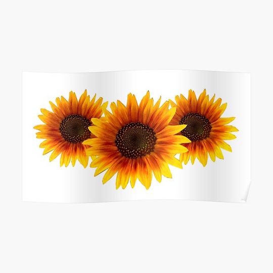 Discover Flower Tumblr Sunflowers Premium Matte Vertical Poster