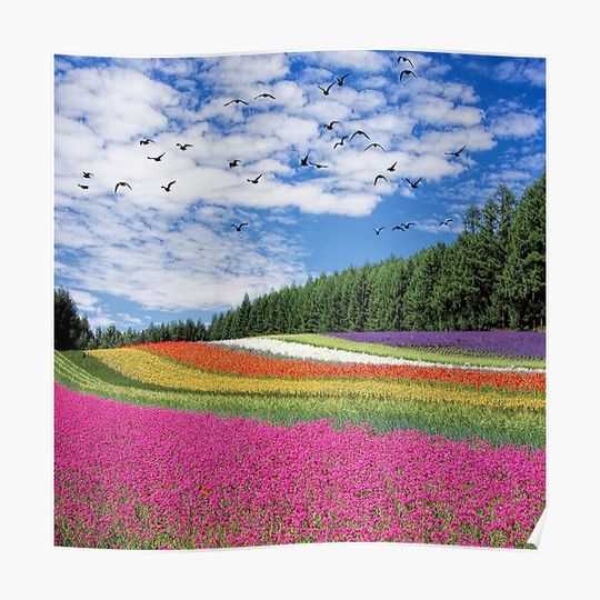 Discover Beautiful nature in the form of a rainbow Premium Matte Vertical Poster