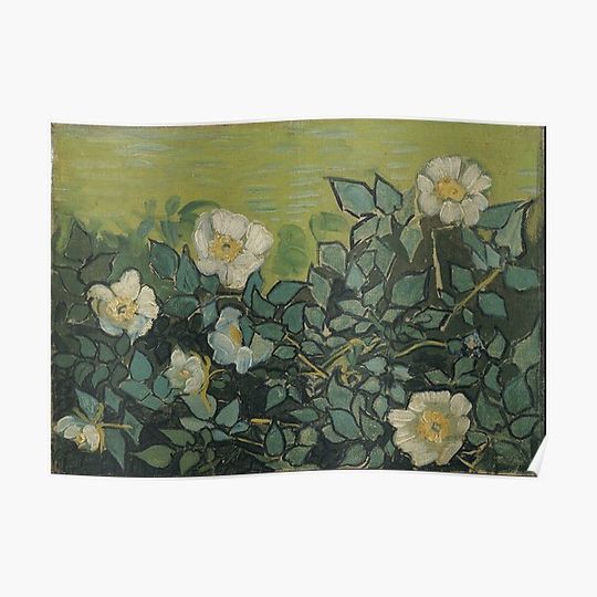 Discover Vincent Van Gogh - Wild roses Premium Matte Vertical Poster