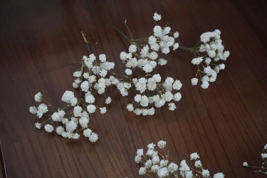 Discover Baby's Breath Bridal Hair Pin